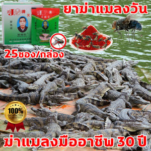 ผักแมลงวัน 25 ชั่วโมง ยาฆ่าแมลงวัน ผงฆ่าแมลงวัน ผงไข่เน่ากำจัดแมลงวัน 100% ถ้าทำให้ดูแลลาย