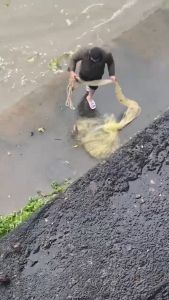 Jaring pemutus tangan lama jaring membaling tangan jaring memancing jaring berputar jaring memancing jaring pemutus peralatan memancing artifak memancing menangkap peralatan memancing