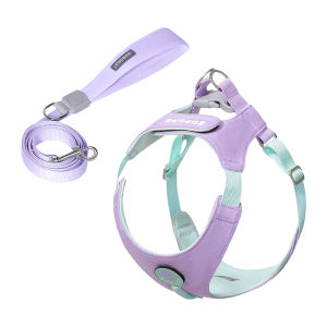 BORORO Pet Harness Leash Set Adjustable Chest 360 Wrap Design ID Tag Slot Hook Loop Oxford Fabric