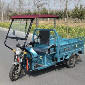 Thickened Full Transparent Electric Tricycle Carport Rain Awning Special Front Hood Driver Protection Outdoor Camping Travel Supplies