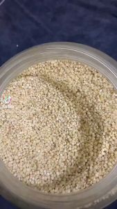 Hạt ý dĩ (hạt bo bo) 500g