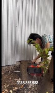 Máy cưa xích chạy xăng mini Komastsu 2500S động cơ 2 thì nặng 3kg phù hợp cho việc làm vườn làm trang trại hoặc cắt tỉa cành cây trên cao