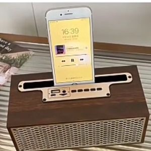 GLORICON Portable USB Vintage Speaker