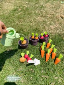 Intelligent Pretend Play Carrot Growing Toy Set