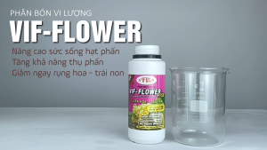 VIF-FLOWER - Phân bón Boron F150 chai 500ml
