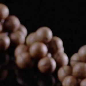 Daily Healthy Snacks: Mixed Nuts & Creamy Macadamia
