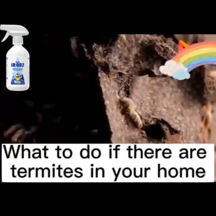 ✅ 50years without termites ✅termite killer 450ml Infect and kill in nest termites killer solution odorless anay killer spray termite killer anay pest control termite baiting system sprayer termites treatment Termite Ant Killer Powder Termite Killing Powde