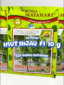 Benih Ketimun Baby Imut Hijau F1 10 gram Cap Bunga Matahari dataran rendah menengah tinggi lalap unggul bibit hidroponik biji