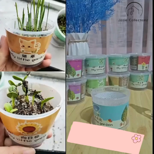 DIY Mini Plant Potted Green plant Office Desktop Bonsai Green Plant