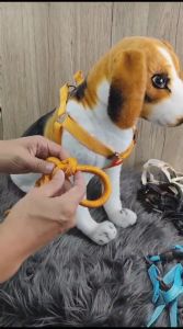 Pet Harness Dog And Cat Tali Dada Anjing dan Kucing Untuk Jalan Jalan Uk. M