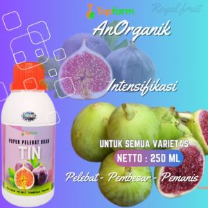 Pupuk Booster Buah Tin: Solusi Optimal untuk Pertumbuhan Tanaman Tin