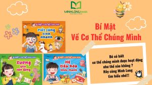 Sách: Combo Bí Mật Về Cơ Thể Chúng Mình: Xương - Mắt - Hệ Tiêu Hóa (3 Cuốn)