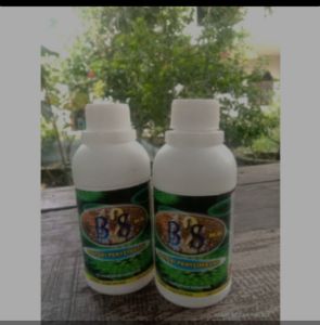 COD OBAT HERBAL BS 12 PENAMBAH IMUN