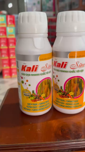 Kali Sữa Nano 500ml - Siêu vô gạo sáng hạt to trái
