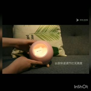 Lampu tidur Kucing peliharaan lampu hias rechargeable Hadiah pacar Kado anak kado lucu