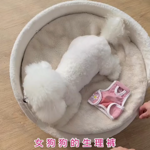 quần chip - quần sinh lý cho bé cún cái tới tháng " rụng dâu"  (chó) - T3 PETS SHOP