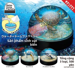 MOYINGXIONG | Quả Cầu Tuyết Chủ Đề Biển Đáng Sưu Tầm