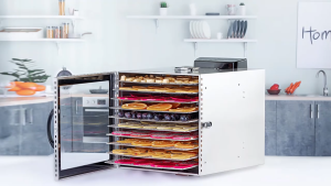 เครื่องอบผลไม้ แถมฟรีแผ่นซิลิโคน 10แผ่น เครื่องอบผลไม้แห้ง 💥รับประกัน 1 ปี💥 อบลมร้อน ความจุ 10/12/16ชั้น