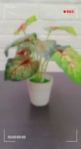 DRPT37 Pot Tanaman Hias Bunga Hias Plastik Ornamen Pot Bonsai Artificial Flower Decoration
