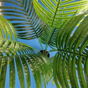 Tanaman Hias Pot Pohon Plastik Daun Kelapa Buatan Artificial Ornamen Pajangan Rumah COD PBP158