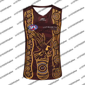 Hawthorn Hawks Afl Isc 2025 Brown/Gold Indigenous Guernsey Summer Breathable Sleeve Rugby Vest Quick Drying Sport Tee Adult/Kid