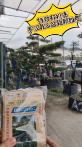 FERTI 190G Podocarpus & Bonsai Organic Fertilizer 特效有机质罗汉松&盆栽颗粒肥 (FR0052)