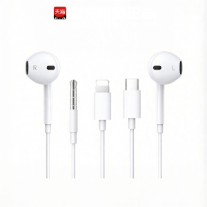 Type-C Wired Headphones