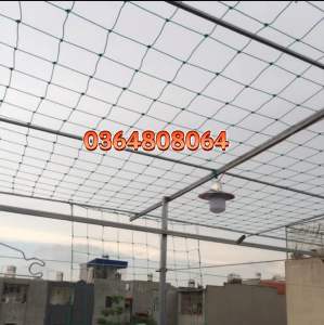 Lưới Làm Giàn Leo Lưới Giàn Mướp Dây Leo Giàn - Giá Rẻ Nhất Thị Trường