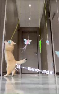 Cat Hanging Stick with Bell Toy for Kitten Play Bouncing Self Play Door Teaser Mainan Kucing Gantung Pintu 挂门式逗猫玩具  猫咪玩具