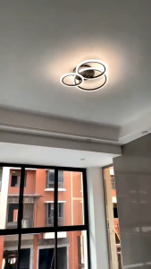 Ceiling Light Modern Simple Three Color Three Head Circular Ceiling Lamp Bedroom Living Room Dining