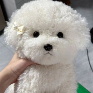 Dễ Thương Chó Bichon Sang Trọng Đồ Chơi Mô Phỏng Chất Lượng Cao Con Chó Nhồi Bông Cho Trẻ Em Trang Trí Phòng Ngủ Quà Tặng Sinh Nhật Cho Bé Gái 22Cm/35Cm