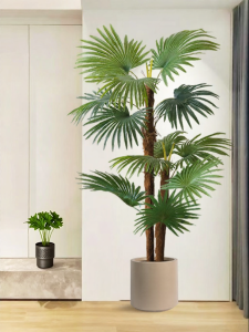 High-quality Luxury Spindle Palm Indoor Decorative Plant