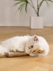 KenCo 38/30/21CM ไม้ฟันหญ้าแมว ช่วยสำรอกก้อนขน ของเล่นแมว