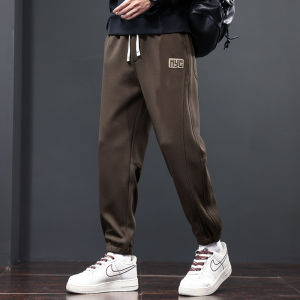 Fleece-lined Thickened Casual Pants Men Autumn and Winter Waffle Knitting Sweatpants Loose with Velvet Heattech Jogger Pants Pants