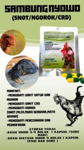 SAMBUNG NYOWO SASET 10 KAPSUL - snot/ngorok/crd ayam