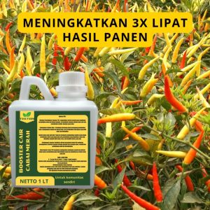 Pupuk Semprot Pelebat Cabai Merah: Panduan Lengkap