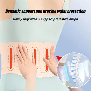 Adjustable Thin Back Lumbar Support Belt Breathable Waist Brace Strap Lower Back Pain Relief Scoliosis Herniated DiscSciatica
