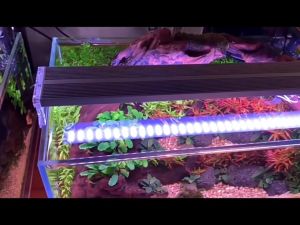 BSFH Alpha Series Full Spectrum Aquarium Light for Aquatic Plants(A系列全光谱水草灯水族箱照明灯)