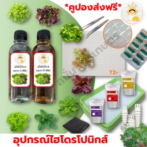 ถุงดำรองกล่องโฟม 10 กิโล ทรงแบน ถูกสร้างด้วยถุงรองกล่องโฟม บรรจุภัณฑ์บรรจุภัณฑ์ และถุงรองกล่อง ผักไฮโดร สีดำ ที่มีราดำ ชุดประหยัดที่มีร่วมกันได้