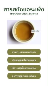 P.S.A.CHEMICALS สารสกัดบอระเพ็ด Tinospora Crispa Extract ขนาด 100 g (สารสกัดใส่สบู่ ใช้เป็นส่วนผสมสำหรับเครื่องสำอางเท่านั้น)