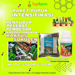 Pupuk Kaktus Dan Sukulen / Pupuk Untuk Kaktus Sukulen / Pupuk Penyubur Kaktus / Pupuk Kaktus Sukulen / Pupuk Khusus Tanaman Hias