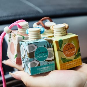 Car Air Freshener Mini Aromatherapy Essential Oil Odor Eliminator Kit Humidifier Gift Box Air Purifier Car Diffuser Long Lasting