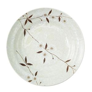 Mino Yaki | Japanese Style Underglaze Ceramic Bowls Set Thickened