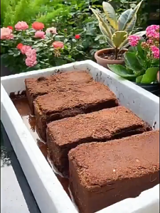 FaSolLa ขุยมะพร้าวอัดก้อน ขุยมะพร้าวปลูกต้นไม้ ดินปลูกต้นไม้ CoCo Peat เพาะปลูกแทนดิน pH เหมาะสม