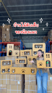 บ้านลับเล็บแมว ที่ลับเล็บแมว3IN1 ที่ฝนเล็บแมว  ที่นอนแมว กล่องลับเล็บ ตัวเดียวจบ HS