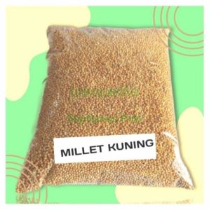 Milet Kuning 1kg Millet Pakan Makanan Burung Lovebird Bird Feed Food