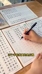 华文练习练字帖 小学生好词好句好段字帖 楷书練字帖 写作练字两不误 小学作文 作文字帖描红本 华文练习 Practice calligraphy