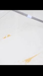 [จัดส่งจากกรุงเทพ]กระดาษกำจัดฝุ่น แผ่นถูพื้นแบบแห้งกระดาษกำจัดฝุ่นไฟฟ้าสถิต 30 ชิ้น กระดาษไร้ฝุ่นแบบใช้แล้วทิ้ง กระดาษดูดฝุ่น ผ้าเช็ดฝุ่นถูพื้น ไม้ถูพื้น ไม้ถูดันฝุ่น ไม้ม๊อบถูพื้น กระดาษเปียก กระดาษแห้ง lazy mop ไม้ม็อบดันฝุ่น