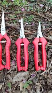 Stainless Steel Pruning Shears 908