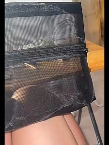 Visible Fashion Travel Shoe Bag Breathable Mesh Portable Shoe Bag Dustproof Shoe Storage Bag